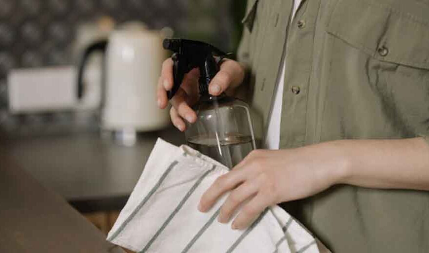 The Shift Toward Safer Household Products in Health-Conscious Homes