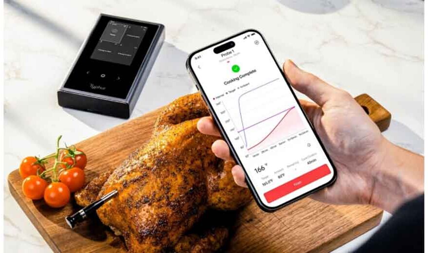Wireless-Meat-Thermometer-101