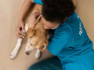 Healing-Together-How-Animal-Companionship-Supports-Recovery