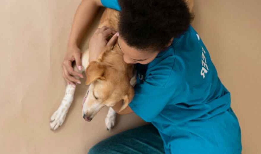 Healing-Together-How-Animal-Companionship-Supports-Recovery