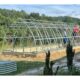 How to Storm-Proof Your Greenhouse with Durable Glazing