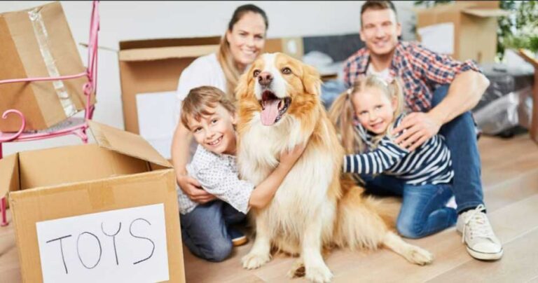 Thumbnail for Home Safety Guidelines For Families With Pets