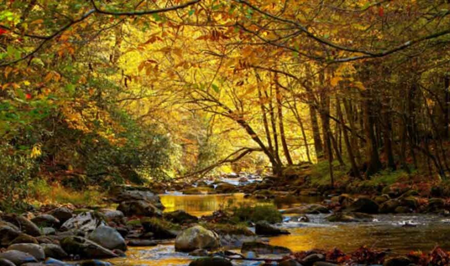 The Ultimate Smoky Mountains Nature Retreat: What to Do in Gatlinburg