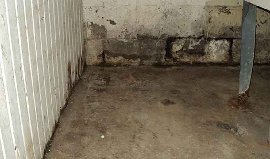 Water Intrusion in Michigan Basements