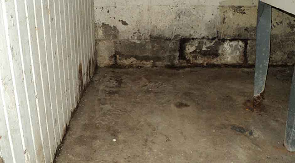 Water Intrusion in Michigan Basements