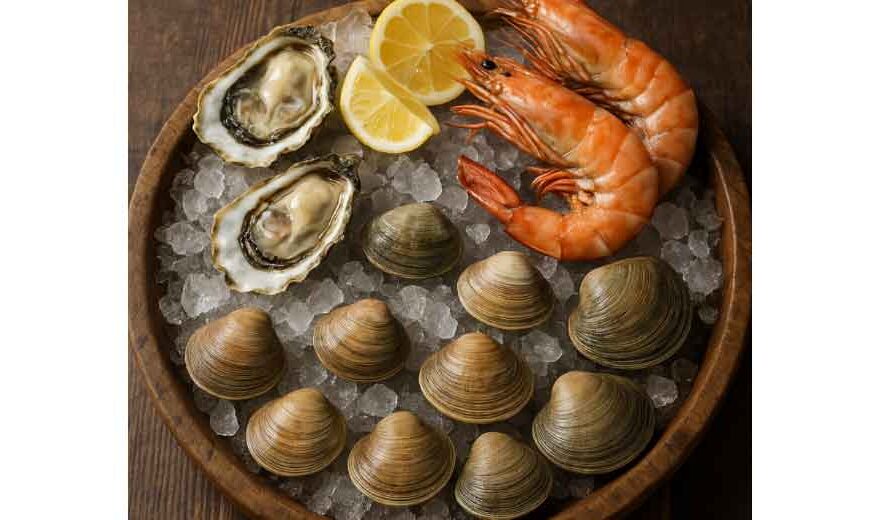 From Tide to Table: Embracing the Elegance of Shellfish