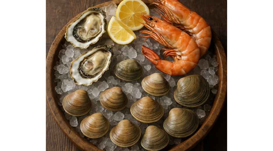 From Tide to Table: Embracing the Elegance of Shellfish