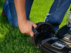 How to Adjust Your Lawnmower Height for Seasonal Growth