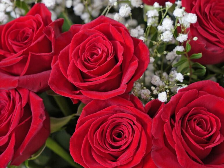 Red Rose Bouquets