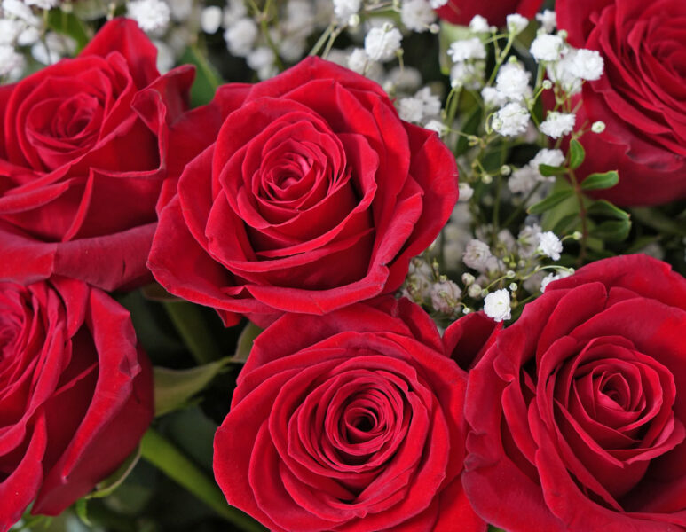 Red Rose Bouquets