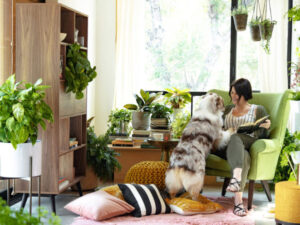 5 Easy Houseplants That Instantly Upgrade Your Living Space