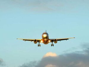 Why Speed and Efficiency Matter in Transportation Services