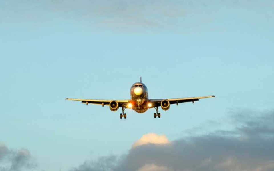 Why Speed and Efficiency Matter in Transportation Services